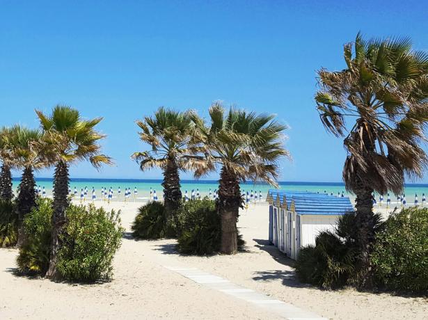 hotelroyalgiulianova it offerta-speciale-per-gruppi-vacanze-in-hotel-3-stelle-a-giulianova 016