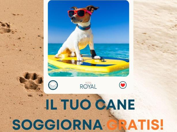 Vacanze al mare con il cane gratis a maggio.